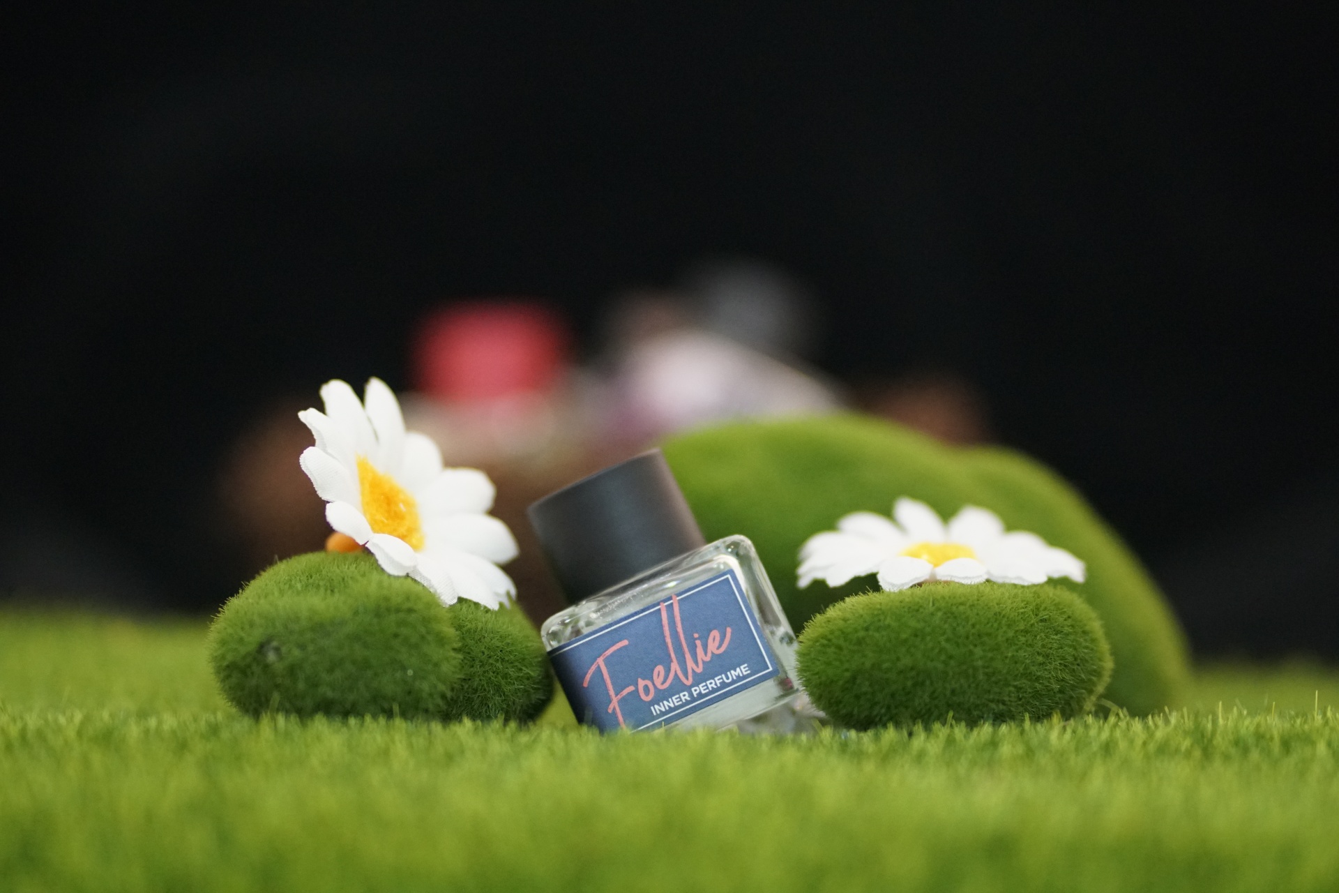Review Cac Mui Foellie (1)