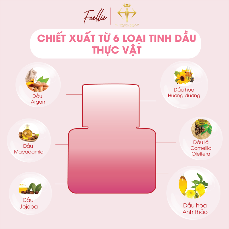 BẢng ThÀnh PhÀn Fl 01